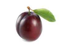 Your baby is the size of a plum at 12 weeks pregnant - Pregnancy Week By Week