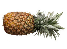 Your baby is the weight of a pineapple at 33 weeks pregnant - Pregnancy Week By Week